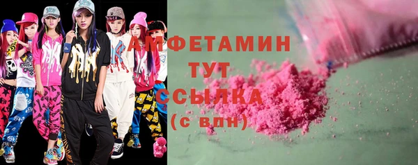 стаф Тайга