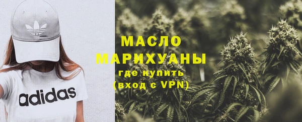 дмт Заводоуковск