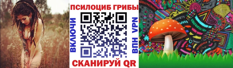 где купить   OMG ссылки  Галлюциногенные грибы прущие грибы  Питкяранта 